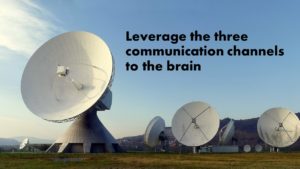 Communication channels in the brain